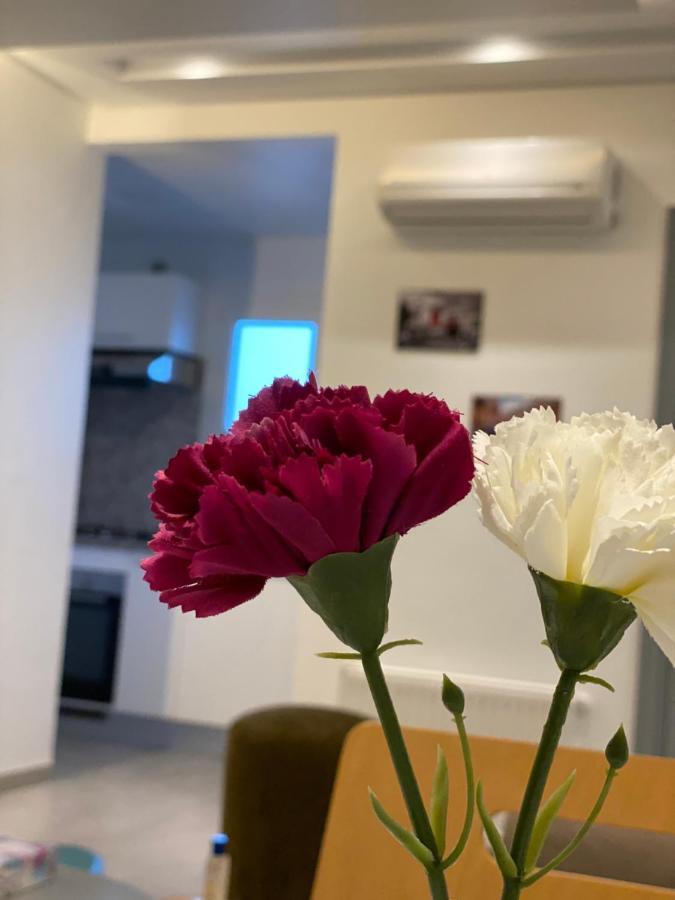Haouari Apartment